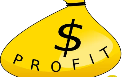 Increase Profit and Wealth