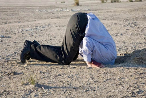 The Top 10 Reasons Not To Look At Your P&L And Balance Sheet